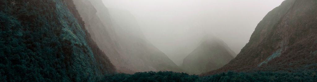 Misty mountain peaks rising from the edge of a deep fiord, with soft greens and blues blending sky and land in the New Zealand wilderness.